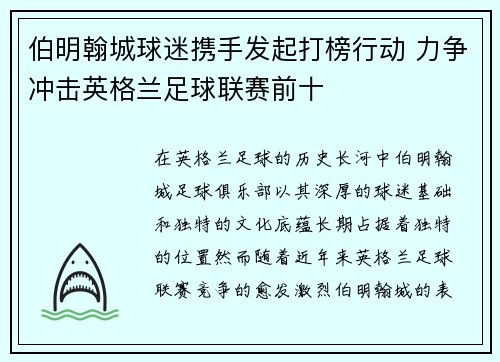 伯明翰城球迷携手发起打榜行动 力争冲击英格兰足球联赛前十